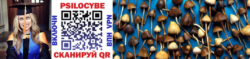 Псилоцибиновые грибы Cubensis Туран